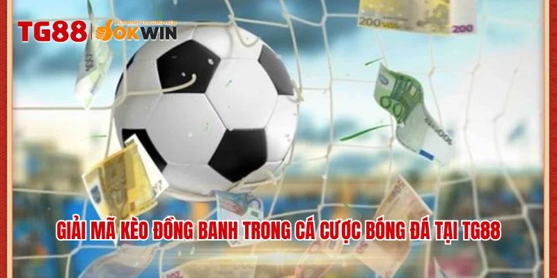 Giải mã kèo đồng banh trong cá cược bóng đá tại TG88