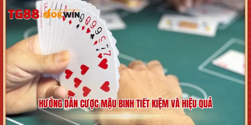 Hướng dẫn cược Mậu binh tiết kiệm và hiệu quả